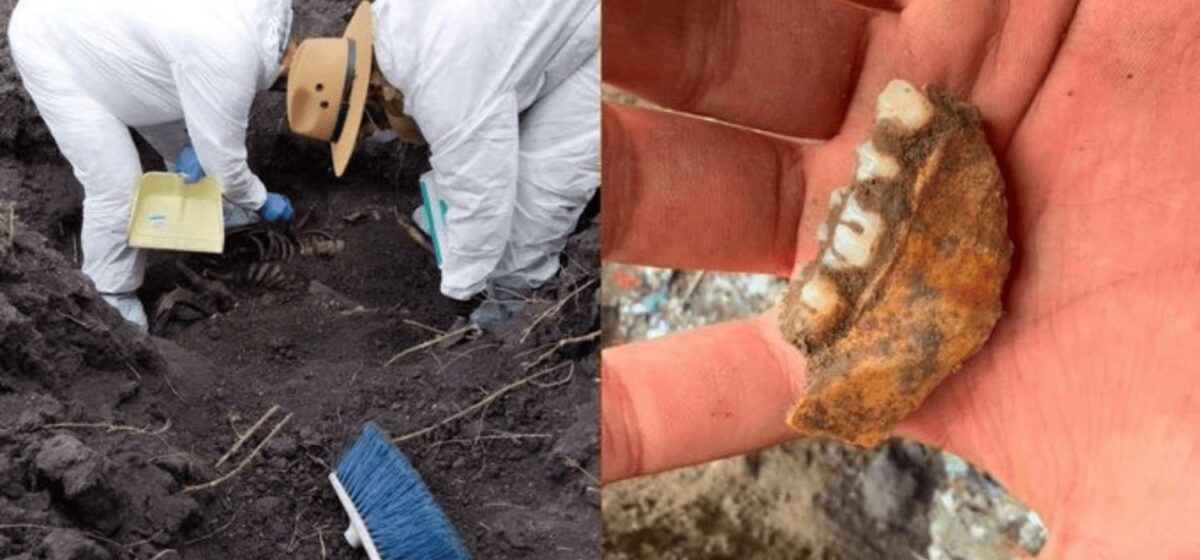 Lo que sabemos sobre el presunto hallazgo de dientes de leche en Michoacán