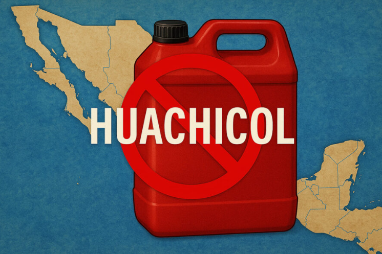 Huachicol fiscal habría movido 3.1 billones de pesos en México