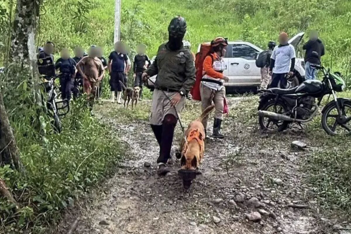 Confirman detenciones por feminicidios de abuela y nieta en Chiapas