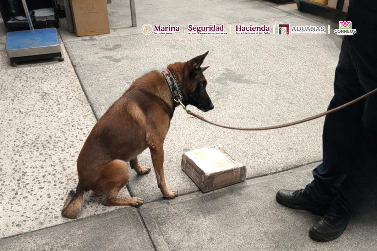Detectan presunta metanfetamina oculta en accesorios para videojuegos en el AICM